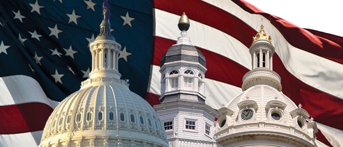 Flag Behind Government Buildings